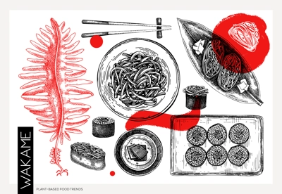 Hand drawn wakame sketches set. Edible seaweed drawing in collage style. Sea vegetables vector illustrations. Japanese cuisine dishes, healthy food ingredients in engraved style